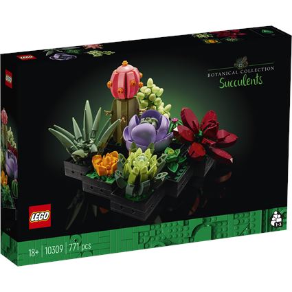 Succulents
