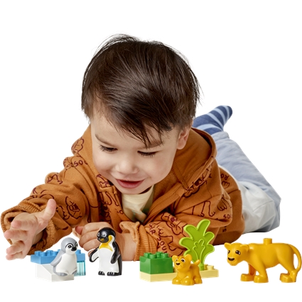 Famílias de Animais Selvagens