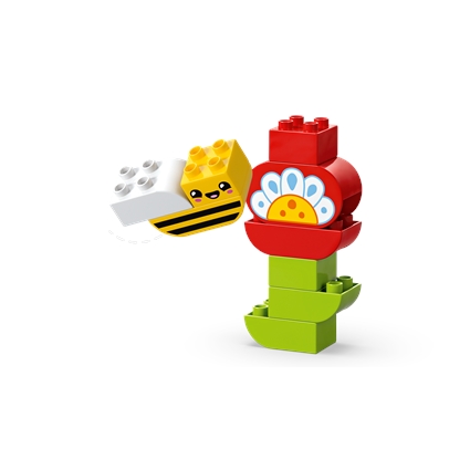 Jardim e Flores Criativos