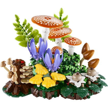 Woodland Mushrooms