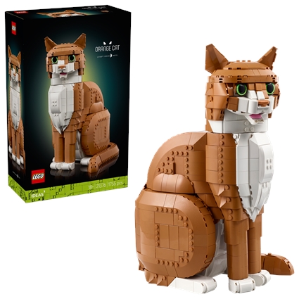 Gato Laranja