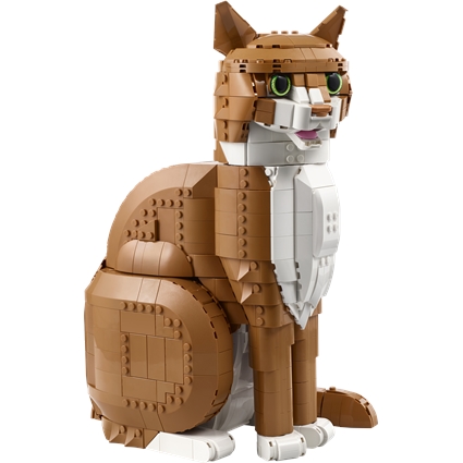 Gato Laranja