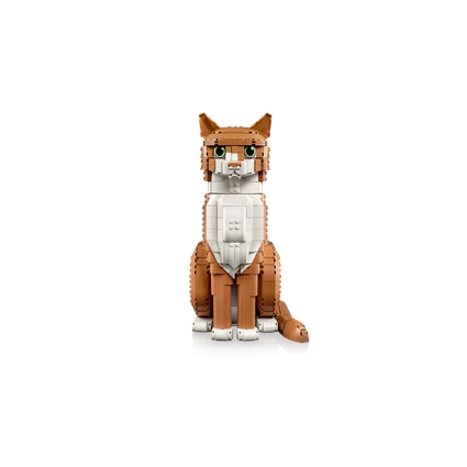 Gato Laranja