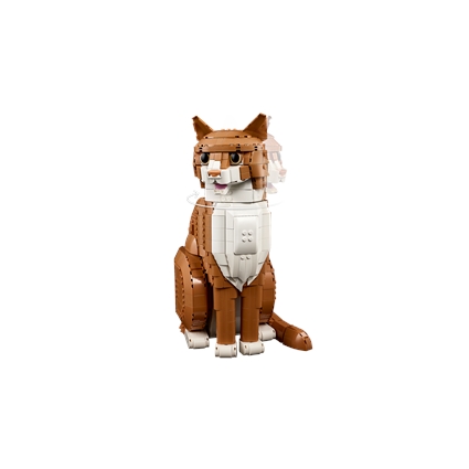 Gato Laranja