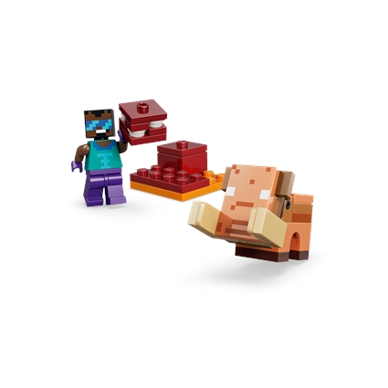 Nether and End Portal Journey