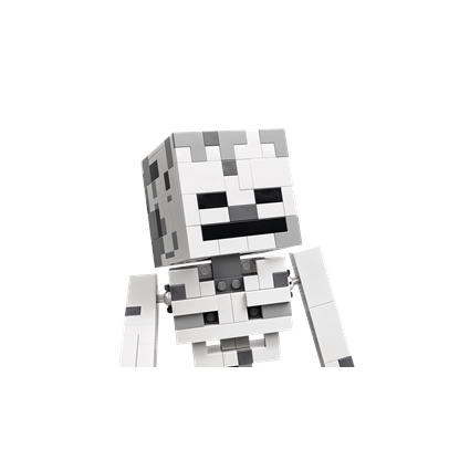 The Skeleton