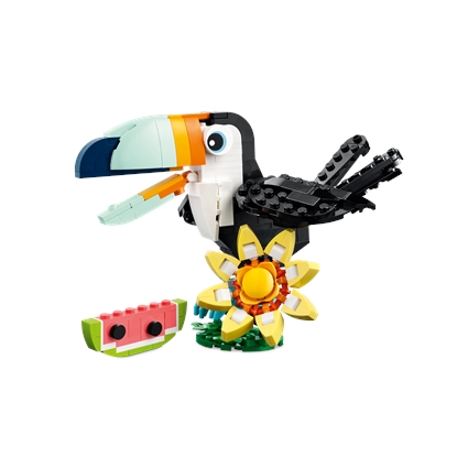 Animais Selvagens: Tucano Tropical