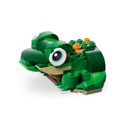 Tartaruga com uma Flor Lírio-de-água