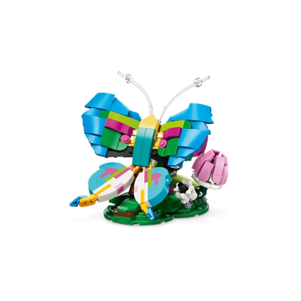 Animais Selvagens: Beija-flor Colorido