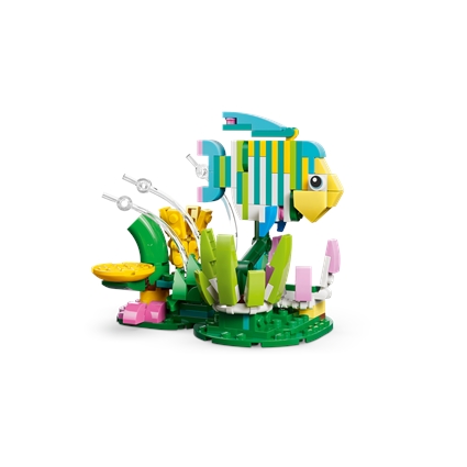 Animais Selvagens: Beija-flor Colorido