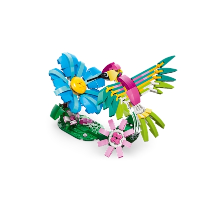 Animais Selvagens: Beija-flor Colorido