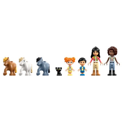 Pony Ranch and Stable