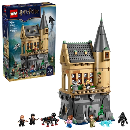 Hogwarts Castle: Hospital Wing
