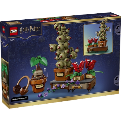 Hogwarts Herbology Plants