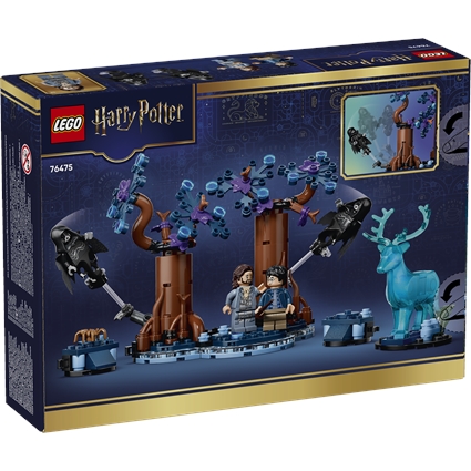 Forbidden Forest: Expecto Patronum