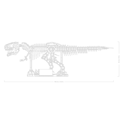 Dinosaur Fossils: Tyrannosaurus rex