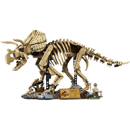 Fósseis de Dinossauros: Triceratops