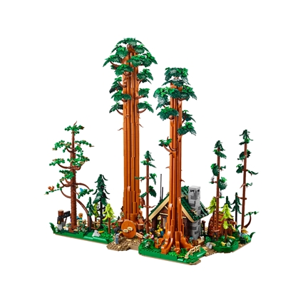Trilho da Sequoia