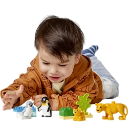 Famílias de Animais Selvagens