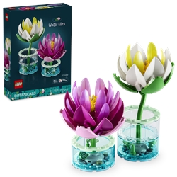 Water Lilies