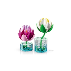 Water Lilies