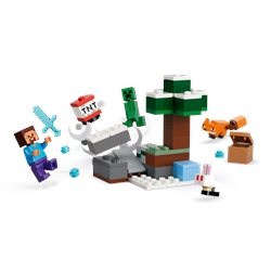 Steve Taiga Adventure