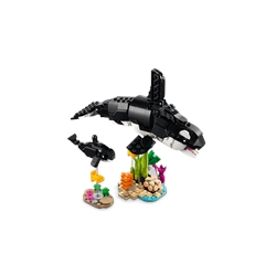 Animais Selvagens: Família de Pandas