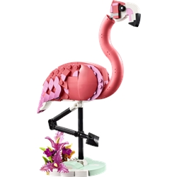 Wild Animals Pink Flamingo
