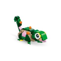 Tartaruga com uma Flor Lírio-de-água