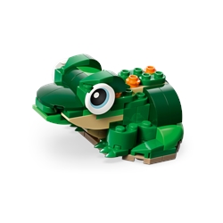 Tartaruga com uma Flor Lírio-de-água