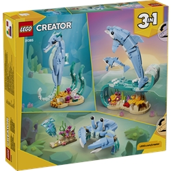 Animais Marinhos: Golfinhos Lindos