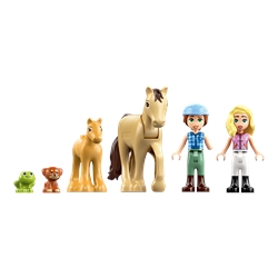 Horse and Baby Foal Trailer