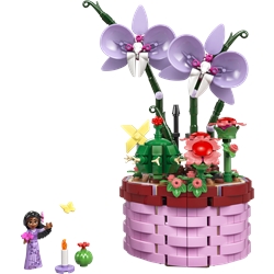 Isabelas Flowerpot