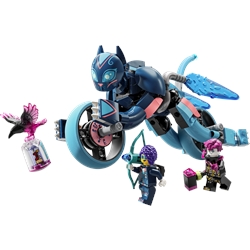 Zoey Cat Motorcycle
