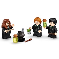 Polyjuice Potion Mistake