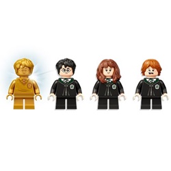 Polyjuice Potion Mistake