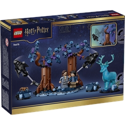 Forbidden Forest: Expecto Patronum