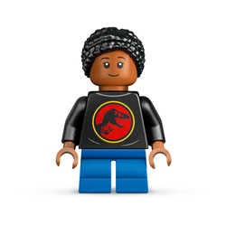 Dinosaur Fossils: Triceratops Skull