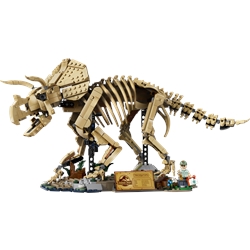 Fósseis de Dinossauros: Triceratops