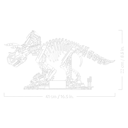 Fósseis de Dinossauros: Triceratops