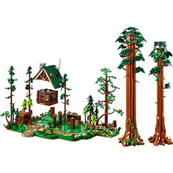 Trilho da Sequoia